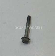 Болт клапанной крышки D4HA D4HB Hyundai Santa Fe Sorento